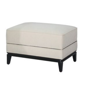S31986 Stool